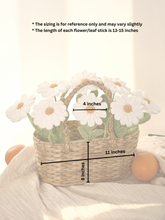 Daisy Bloom