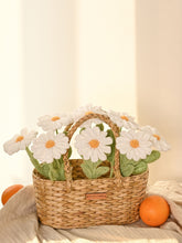 Daisy Bloom