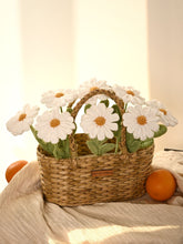 Daisy Bloom