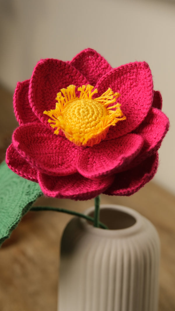India Blooms: Handmade Crochet Lotus